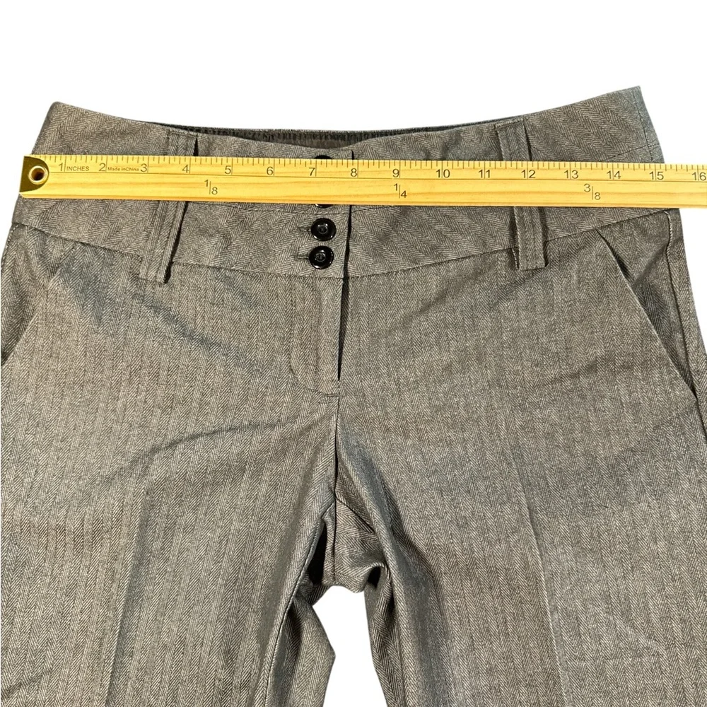 Tracy Evans Gray Formal Shorts‎ with Tailored Fit